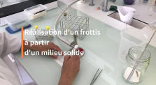 Réalisation d'un frottis bactérien by Biotechnologie