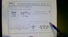 Leçon  le pluriel des noms en al et ail by Maitresse Florie
