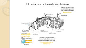 La membrane ( cyto )plasmique 2021.mp4 by Biotech 1STL
