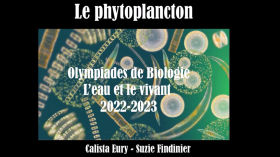 Lycée Descartes - Acidification des océans et phytoplancton by Olympiades de Biologie 2023 - Académie de Lyon