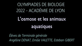 Lycee-MAURIAC - Osmose animaux aquatiques by Olympiades de Biologie 2023 - Académie de Lyon