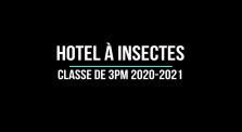 video hotel à insectes by Main lyc.thimonnier channel