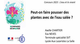 Aux Lazaristes La Salle - Peut-on faire pousser des plantes avec de l’eau salée ? by Olympiades de Biologie 2023 - Académie de Lyon