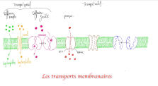 les transports membranaires by Biochimie - biotechnologie