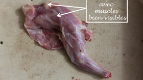 1-Dissection de la patte lapin etape 1 by SVT-Mme Vialar