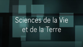 Spécialité "Sciences de la Vie et de la Terre" (SVT) by Spécialités du Lycée Charles Mérieux