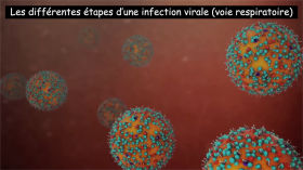 3e : Infection virale by Vidéos S.V.T.