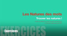 Natures et Fonctions en Français (3) - Exercices by Memento